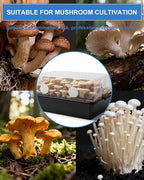 30Pcs Premium Monotub Filter Disks 2.88IN, 0.078IN Thick Ultra-Breathable - Image 7
