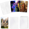 400 Pcs Kpop Photocard Sleeves Holder, 58 x 89 mm, fits 54 x 86 mm and 55 x 85 by Prudiut