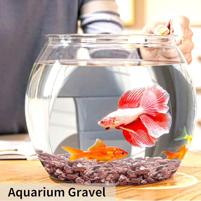 FANTIAN 2 lbs Succulent and Cactus Pebbles Gravel, 3/8 Inch Decorative Red - Image 7