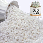 NUPICK 3 lbs Pebbles for Indoor Plants, 3/8 Inch Pea Gravel for Fish Tank by CreateAmazingChoice