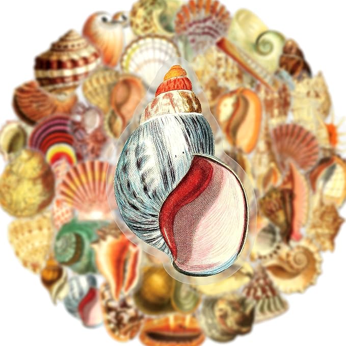 50PCS Aesthetic Sea Shell Stickers, PET Conch & Clamshell Decals, Waterproof - Image 3