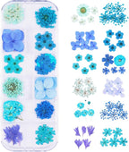 60Pcs Blue Small Dried Pressed Flowers by Unknown