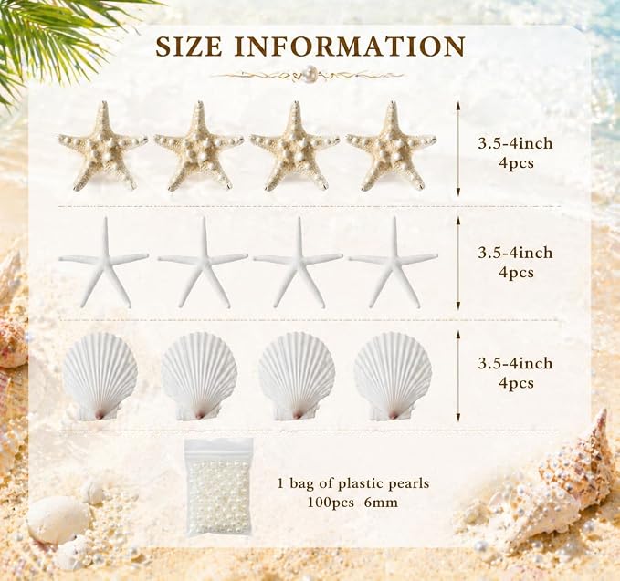 JSPYFITS 2.5-4 Inches Large Starfish and Scallop Shells - Image 3