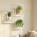 Picture Frame Wall Planters Set of 3, Modern Metal Hanging Shelves by Bbteroiu