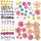 86pcs Pressed Flowers for Resin, Dried Flowers and Dry Leaves for Scrapbooking - Image 2