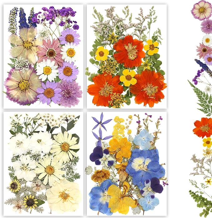 Dried Pressed Flowers - Image 8