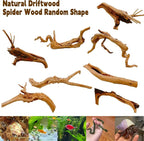Hamiledyi 6-8in Aquarium Driftwood 3PCS Reptile Spider Wood Assorted Branches - Image 7