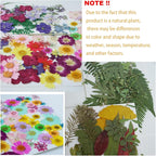 43Pcs Dried Pressed Flowers for Resin, Real Flowers Dry Leaves Bulk Natural - Image 4
