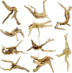 10 Pcs Natural Small Spiderwood by GDMYST