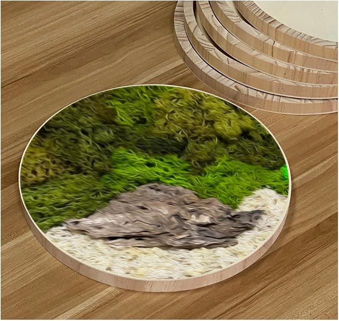 6 Pack 14 Inch Round Wood Canvas Panels Unfinished Wooden Plates Round Wood - Image 6