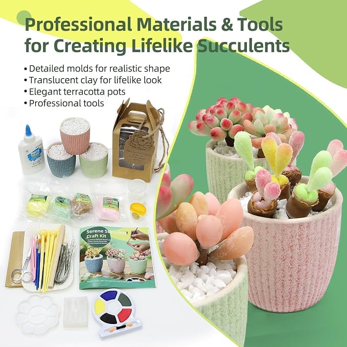 Microland Crafts for Teens Succulents Flower Making Kit, Teen Crafts Air Dry - Image 2