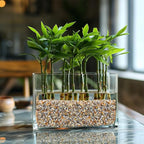 HappyFiller Natural Sand Coarse Sand Real Silica Sand - Image 5