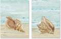 Nautical Seashell Wall Art Beach Wall Decor Ocean Theme Canvas Prints Aqua by JAPOART