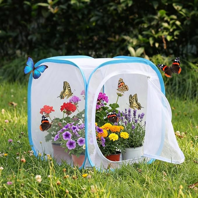 Insect & Butterfly Habitat Cage, Portable Pop-Up Terrarium - Image 6