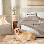 Andency Queen Comforter Set Khaki, 3 Pieces Boho Fall Tassel Lightweight - Image 6