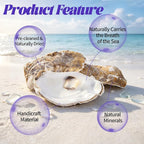 SINKOO 20PCS Flat Oyster Shells 4"-6", Large Oyster Shells - Image 3