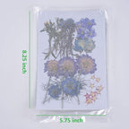 8 Types 46pcs Real Dried Pressed Flowers Leaf Plant Herbarium - Image 2
