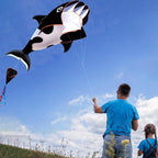 HENGDA KITE 3D Kite for Kids and Adults, Excellent Fabric and Structure - Image 7