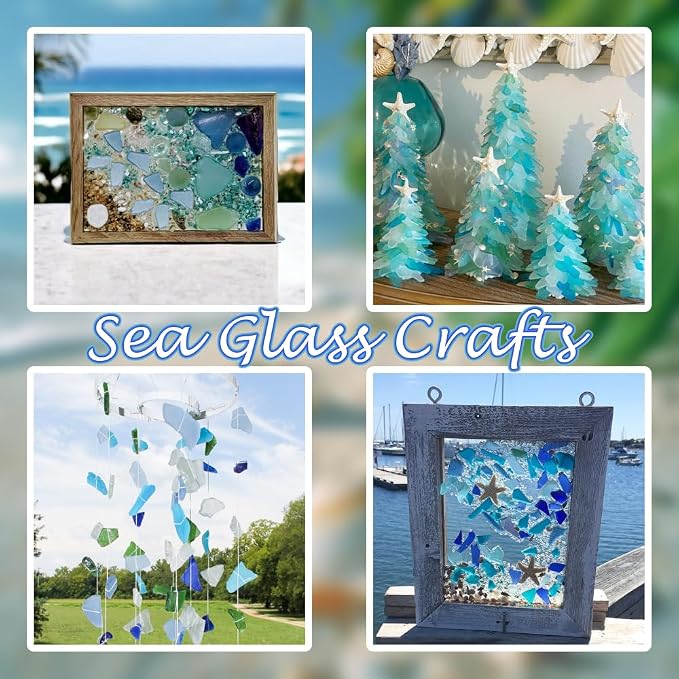 Natural Mixed Seashells Conch Starfish Sea Glass 1-2.8 Inch, 16.5 OZ | Bulk - Image 7