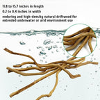 kathson Natural Driftwood for Aquarium - Image 4