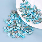 Crushed Shells for Crafts, Sea Shells for DIY Art, Vase Fillers Table Scatter - Image 6
