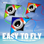 Delta Kite Set for Kids and Adults, Extremely Easy to Launch for Beginners - Image 2