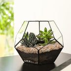 2.5 lbs Coarse Sand for Plants, 1/5 Inch Horticultural Sand for Succulents - Image 6
