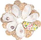 30Pcs Large Flat Oyster Shells for Crafts, 4-5 Inch Cleaned Natural Oyster by LAMIVORA