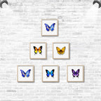 5x5 Small Shadow Box Frame Display Case, Display Case Box - Image 5