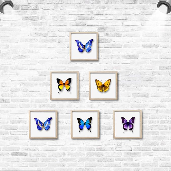 5x5 Small Shadow Box Frame Display Case, Display Case Box - Image 5