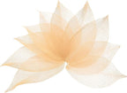 uxcell 100 Pcs Light Orange Skeleton Leaves by uxcell