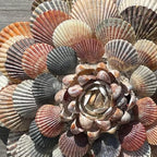 BEACON Sea Shell Glue for Creating and Decorating - Image 7