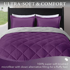 downluxe King Size Comforter Set - Image 2