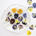 54 Pcs Dried Pressed Flowers for Resin DIY Art Crafts Natural Dry Floral Epoxy by TopFunny