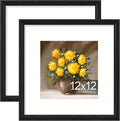 Vittanly 12x12 Picture Frames Set of 2, Ornate Vintage Photo Frame by Vittanly
