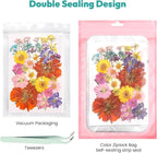 Dried Flowers, Resiners 58Pcs Pressed Flowers - Image 4