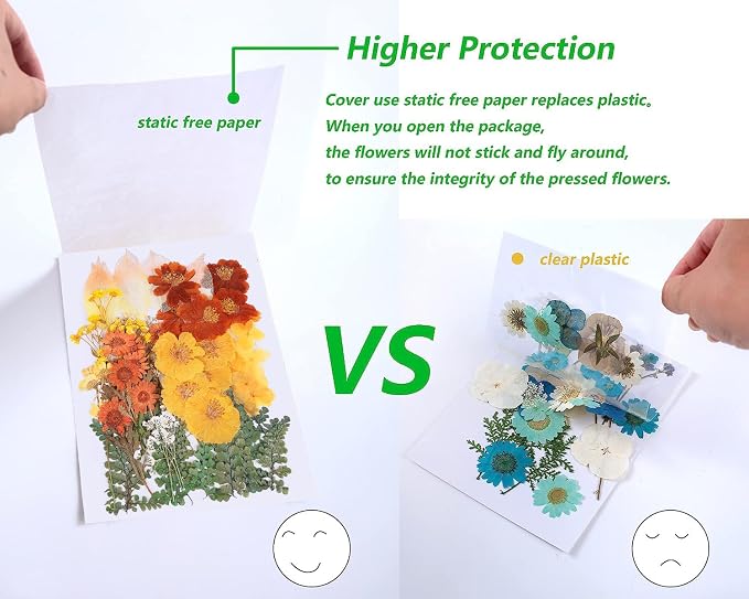 100 PCS Real Dried Pressed Flowers Leaves Natural Plant Herbarium - Image 5