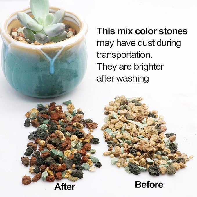 TOYPOPOR Mix Horticultural Lava Rock Pebbles Pumice Potting Soil Amendment - Image 4