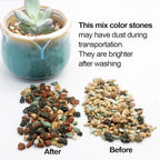 TOYPOPOR Mix Horticultural Lava Rock Pebbles Pumice Potting Soil Amendment - Image 4