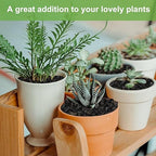 Pulovin 5 lbs Pebbles for Indoor Plants, 1/5 Inch Small Lava Rock for Plants - Image 6