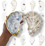 20PCS 5"-6" Extra Large Oyster Shells by Unknown