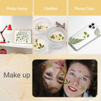 Augshy Pressed Dried Leaves Flowers, Scrapbooking - Image 7