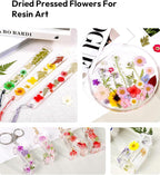 Dried Flowers, Resiners 100Pcs Pressed Flowers - Image 7