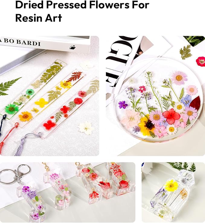 Dried Flowers, Resiners 100Pcs Pressed Flowers - Image 7