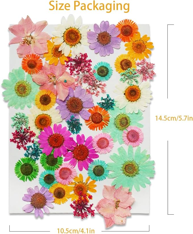 43Pcs Dried Pressed Flowers for Resin, Real Flowers Dry Leaves Bulk Natural - Image 3