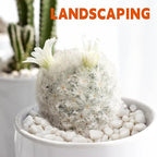 2.2 lb Natural Polished White Pebbles, 1/2 Inch Decorative White Rocks - Image 5