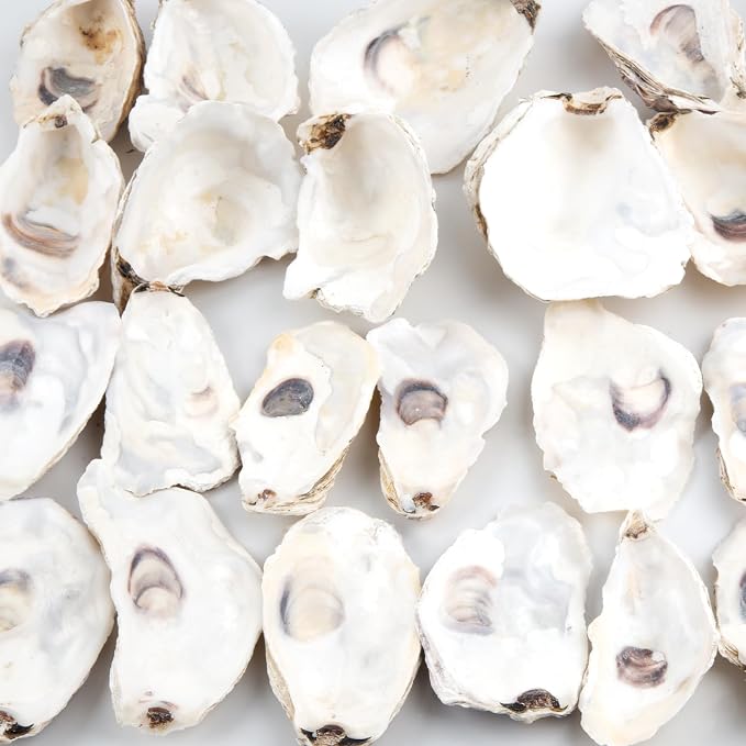 QEQEKAKA 30PCS Oyster Shells Flat & Concave 4"-5" Large Oyster Shells - Image 6