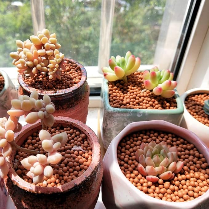 Clay Pebbles Gardening Ceramsite Orchid Hydroponic Grow Media Clay Rocks - Image 7
