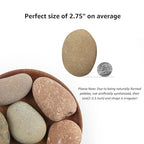 20 LBS Large Natural River Rocks – 2-3.5 Inch Unpolished Decorative Pebbles - Image 2