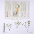 48 Pcs Natural Dried Pressed Mini Baby's Breath Flowers - Image 2
